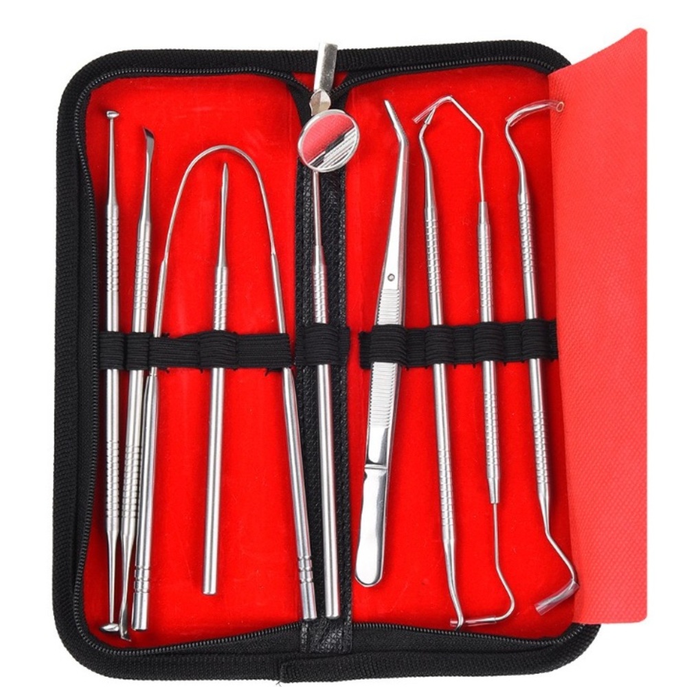 Dental kit